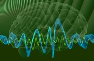 Ondas Cerebrales en Humanos ondas cerebrales o brainwaves